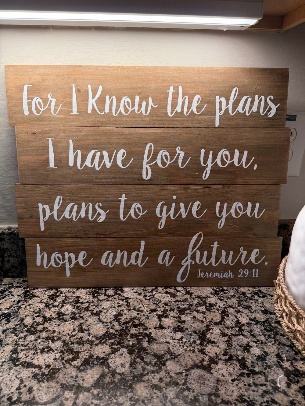 Rustic Wood Wall Sign "For I Know the Plans" - White Script